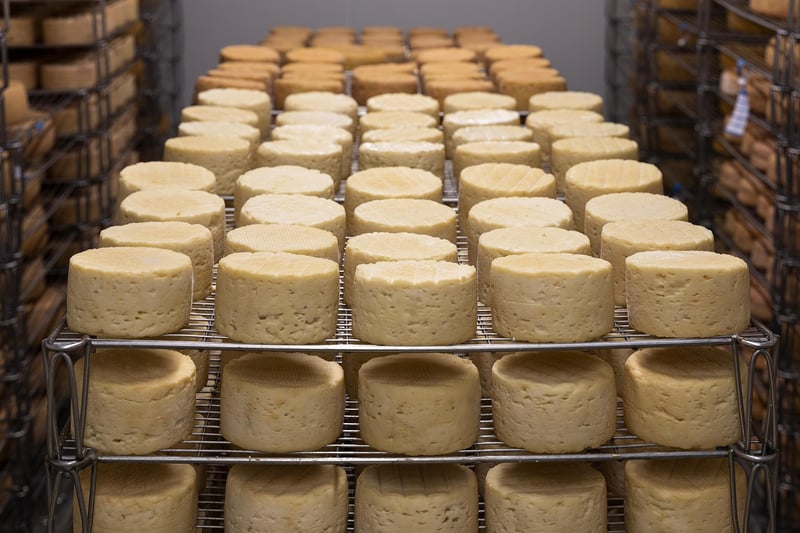Fermentation Basics